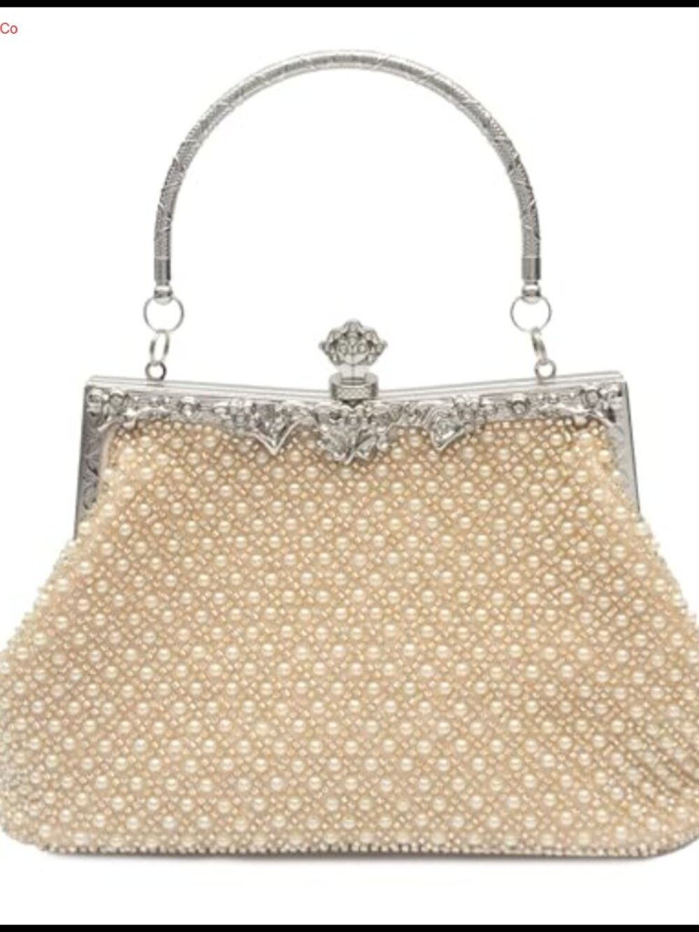 1920s Vintage Beaded Clutch Evening Bag with Chain Strap